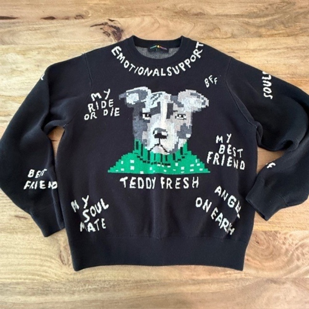 Teddy Fresh Emotional Support Pitbull Dog Knit Sweater Black Unisex Petcore S